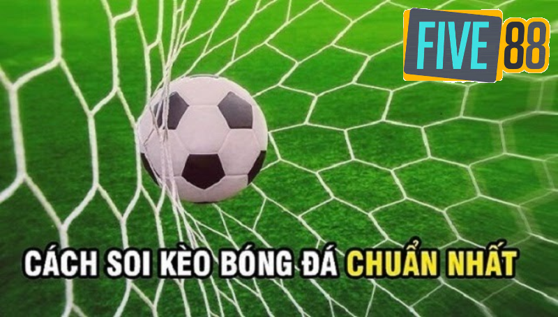 Tổng hợp cách soi kèo bóng đá hay nhất