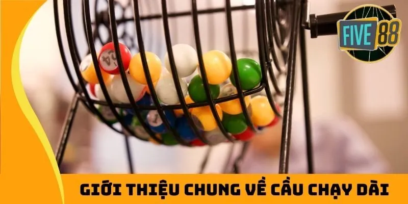 Giới thiệu chung về cầu chạy dài