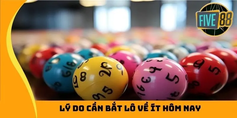 Lý do cần bắt lô về ít hôm nay