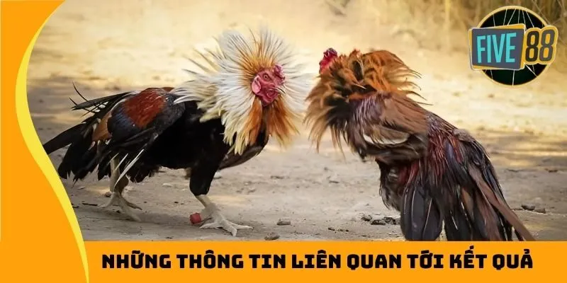 Những thông tin liên quan tới kết quả