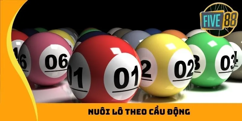 Nuôi lô theo cầu động